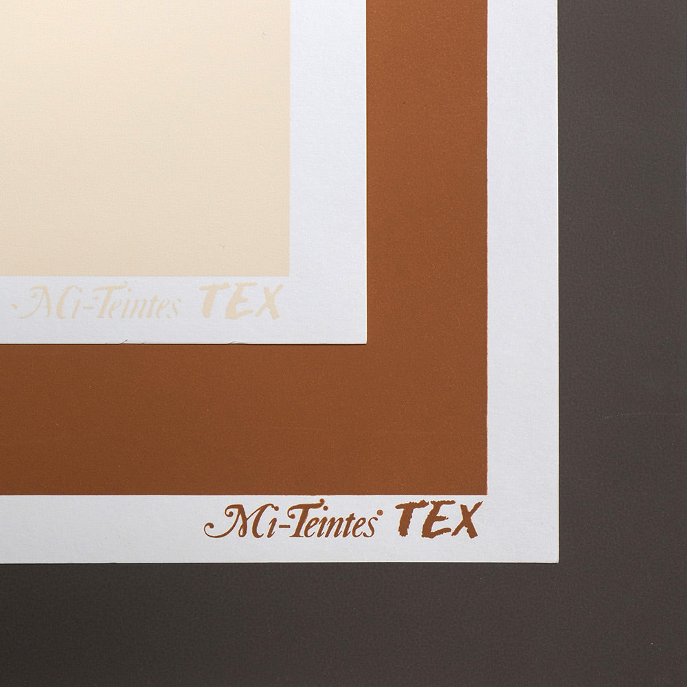 Sheets of Canson Mi-Teintes Tex paper in multiple colours. The coloured surface is textured with a white border along the edges of the sheet. The words Mi-Teintes Tex appear in the lower right corner of the border.